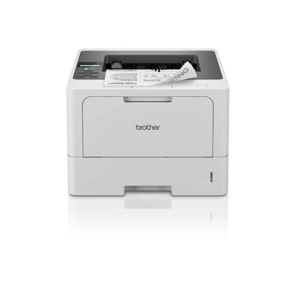 124317.jpg Printer BROTHER HL-L5210DN