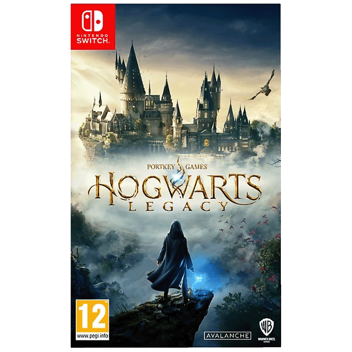 Warner Bros Igra za Nintendo Switch: Hogwarts Legacy