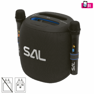 62777_17516124005hik2dzt24-1.png SAL Zvučnik bežični sa mikrofonom,Boombox,Bluetooth,100W,IPX5 - PARCUBE